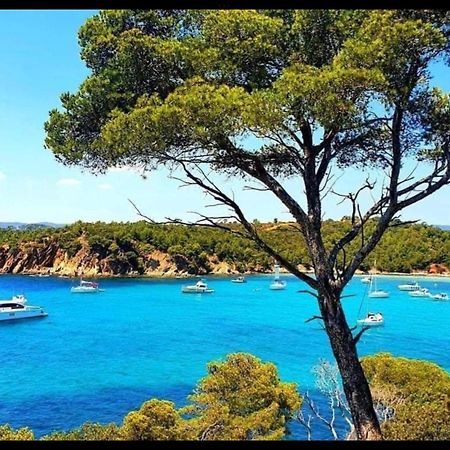 Appartement Pieds Dans L'Eau Vue Mer Bormes Les Mimosas Buitenkant foto