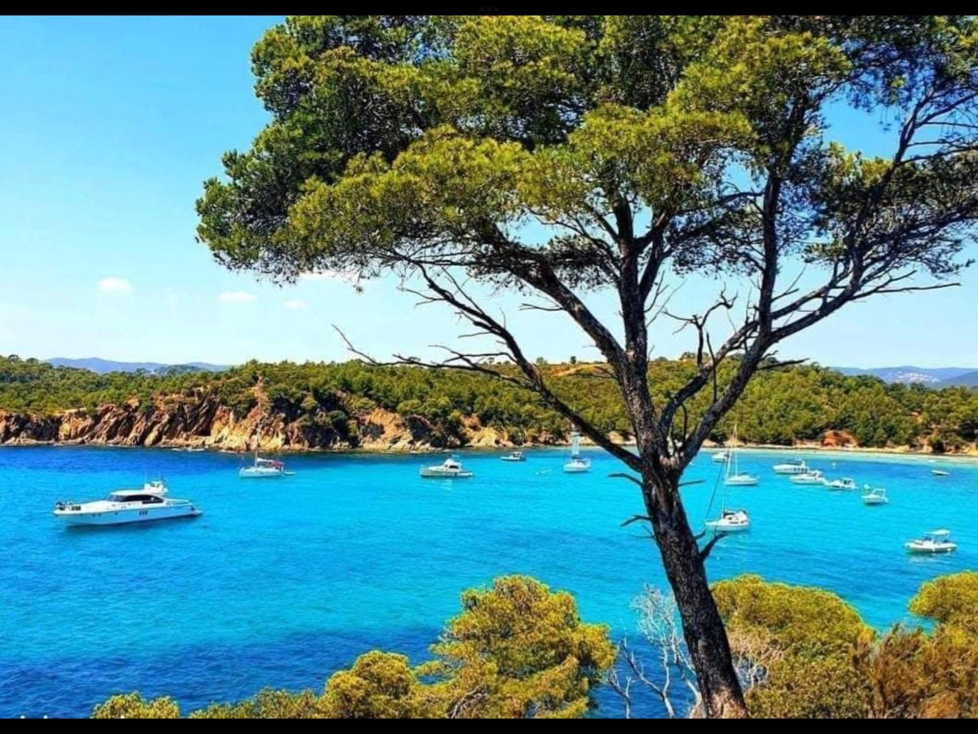 Appartement Pieds Dans L'Eau Vue Mer Bormes Les Mimosas Buitenkant foto